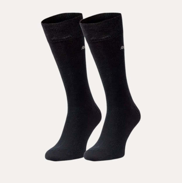 Носки Puma CLASSIC 2P 90712803